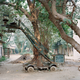 Nandita Raman. Technician’s Studio – 5 From “Film Studio Series”, 2013-2014.